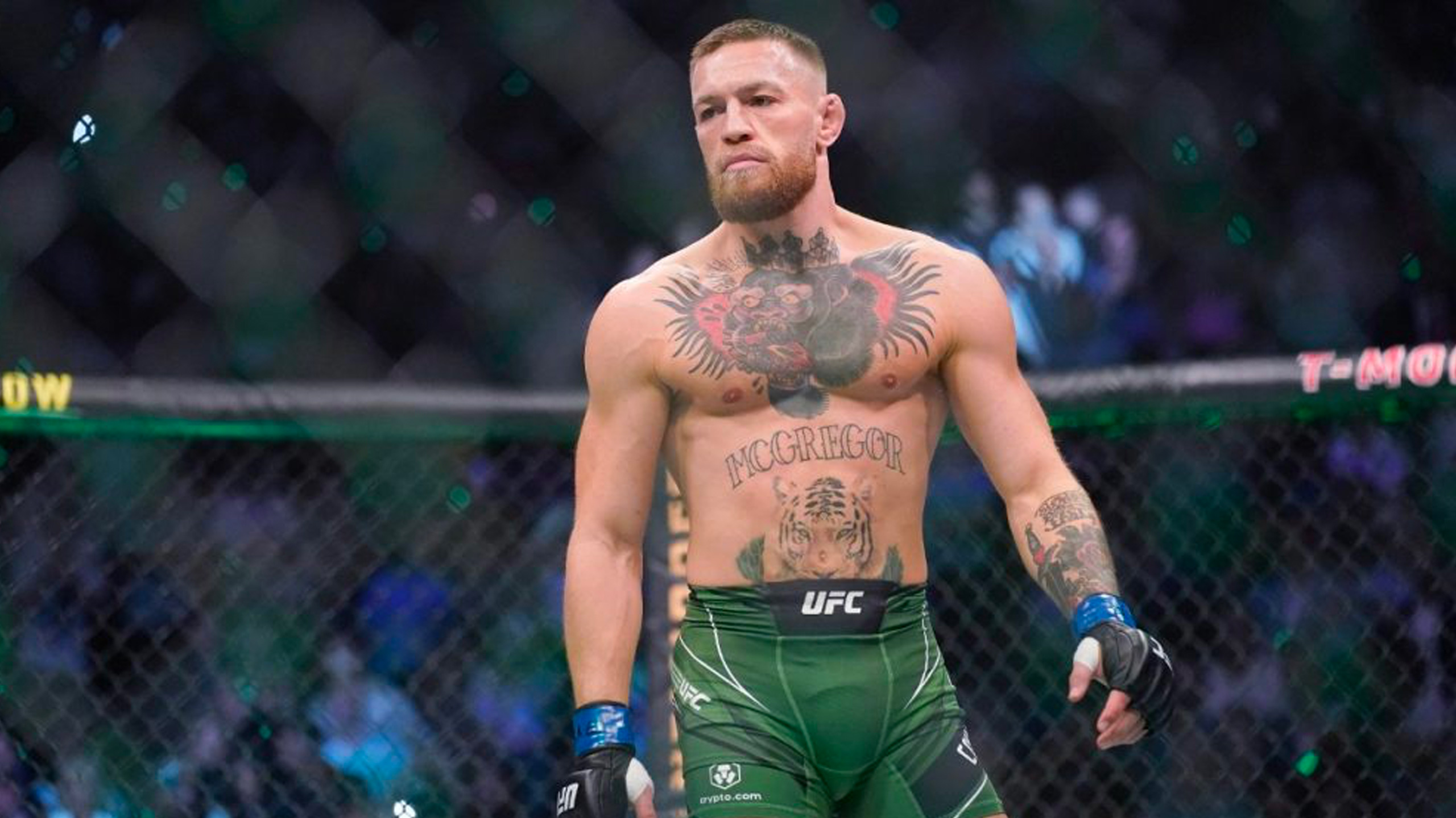 Conor McGregor’s UFC Return Delayed Until 2025, Says Dana White