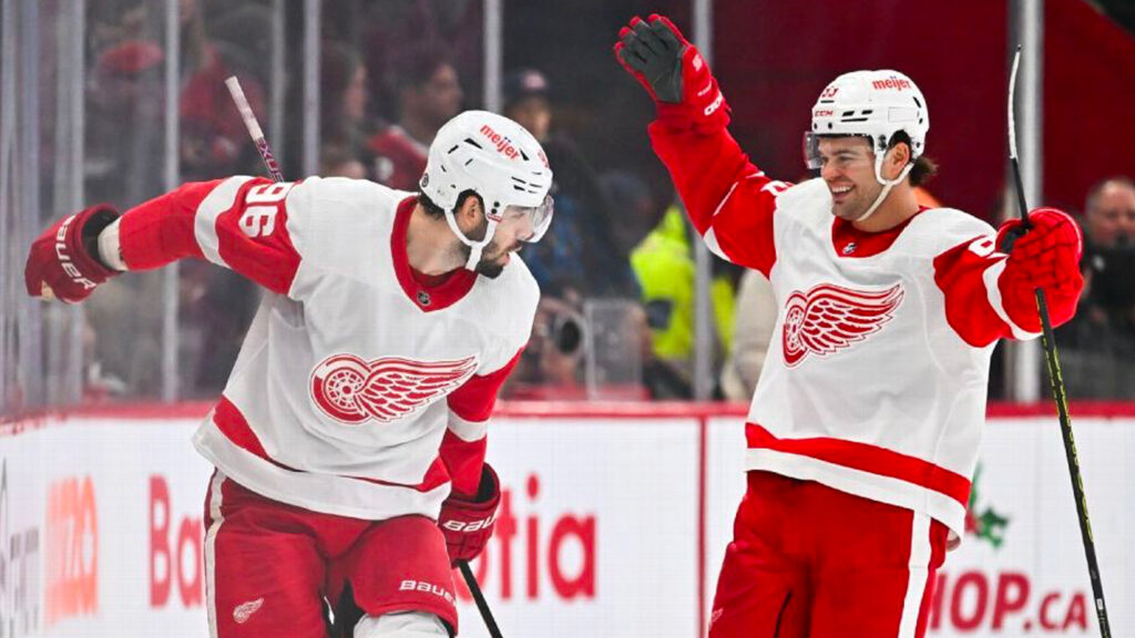 Red Wings Rebuild Momentum